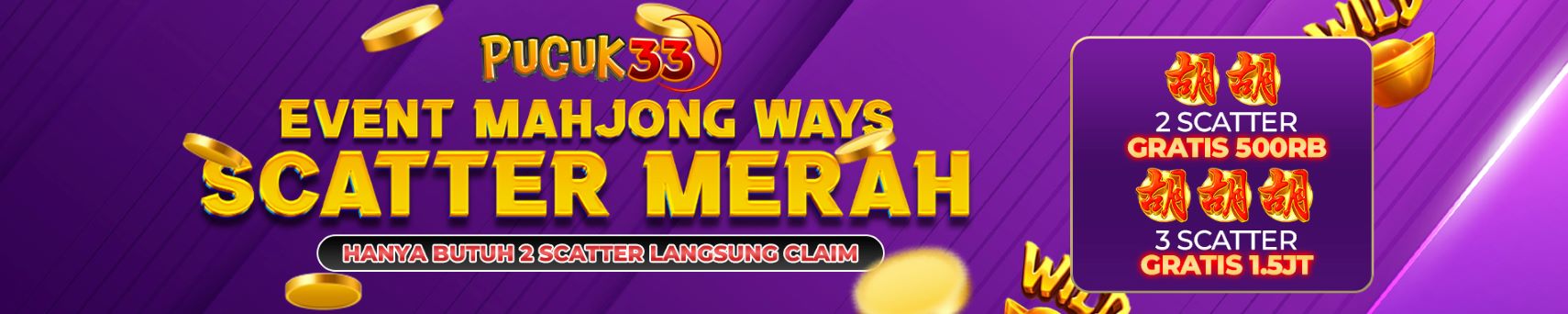 PUCUK33 banner